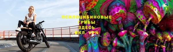 индика Кодинск