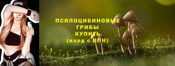 амфетамин Козельск