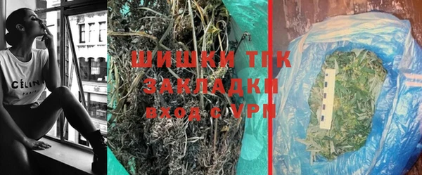 индика Кодинск
