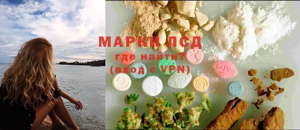 индика Кодинск