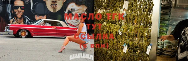 индика Кодинск