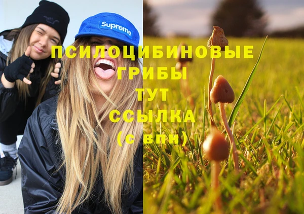 индика Кодинск